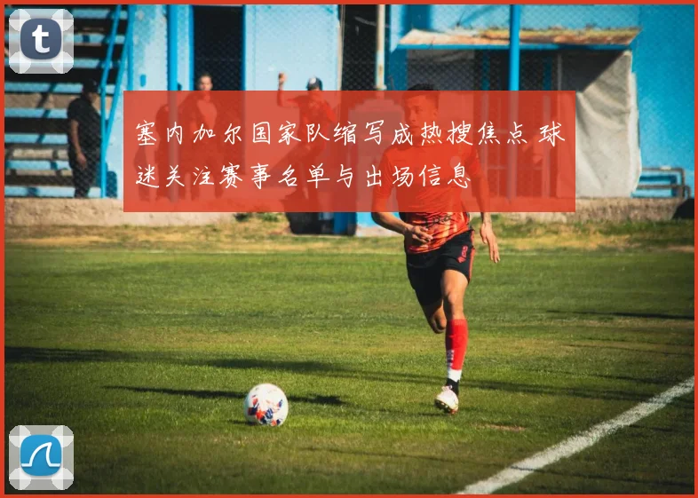 塞内加尔国家队缩写成热搜焦点 球迷关注赛事名单与出场信息