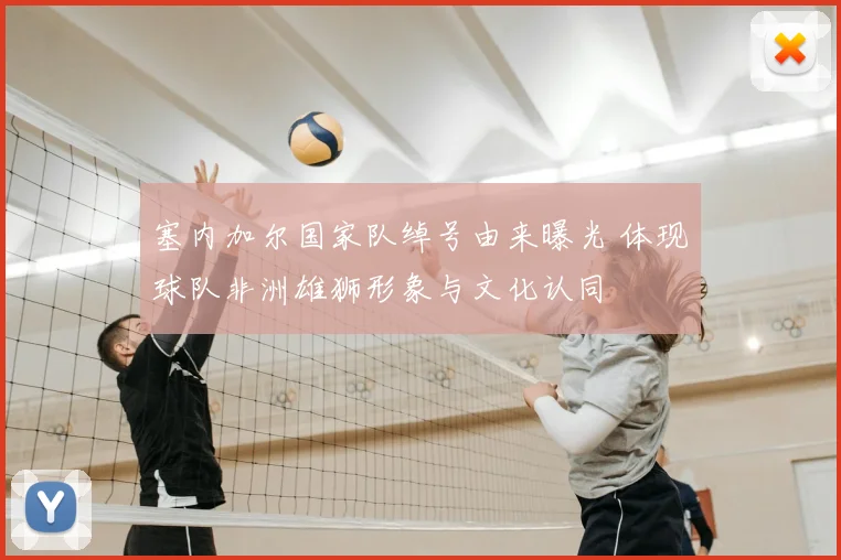 塞内加尔国家队绰号由来曝光 体现球队非洲雄狮形象与文化认同