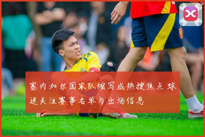 塞内加尔国家队缩写成热搜焦点 球迷关注赛事名单与出场信息