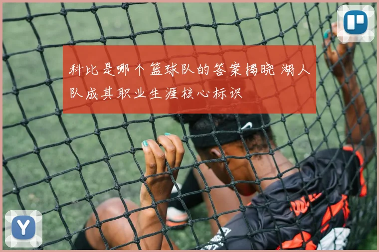 科比是哪个篮球队的答案揭晓 湖人队成其职业生涯核心标识