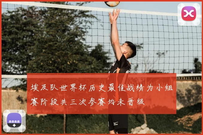 埃及队世界杯历史最佳战绩为小组赛阶段共三次参赛均未晋级