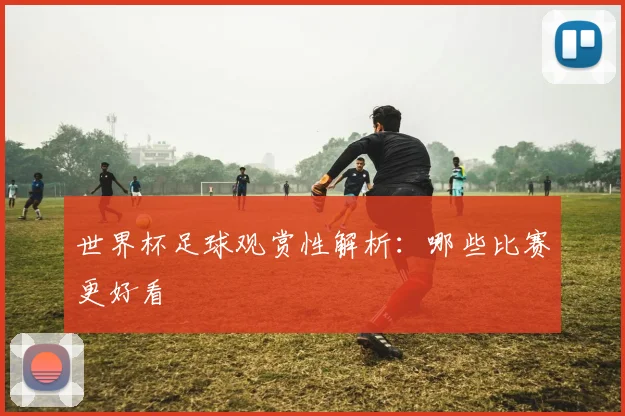 世界杯足球观赏性解析：哪些比赛更好看