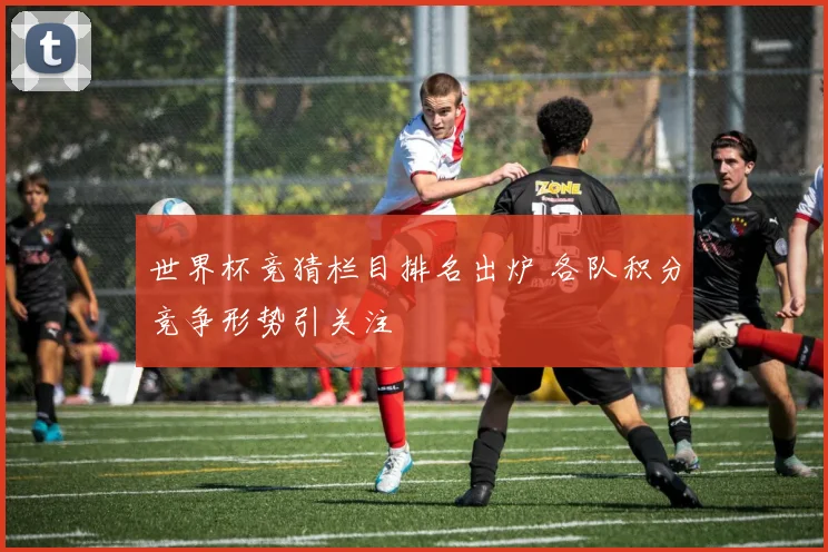 世界杯竞猜栏目排名出炉 各队积分竞争形势引关注