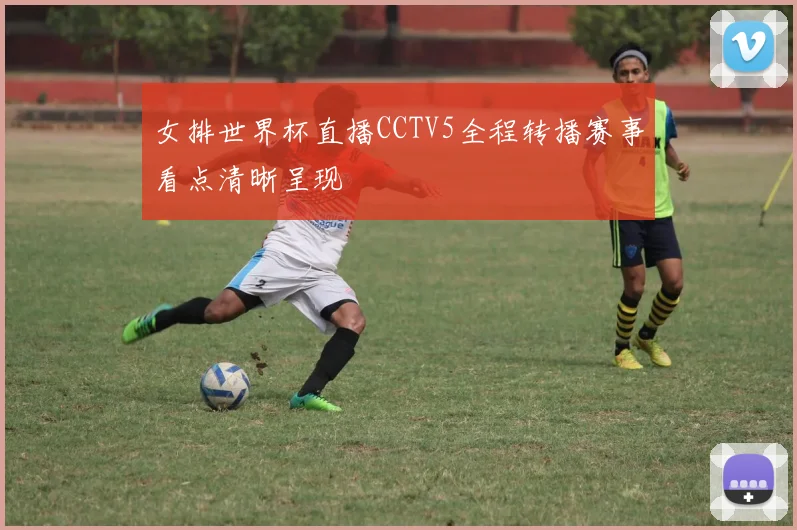 女排世界杯直播CCTV5全程转播赛事看点清晰呈现