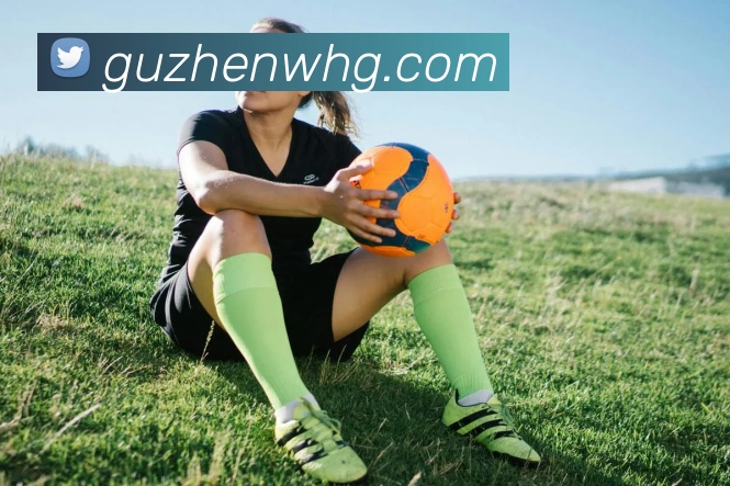 开云在线官网登录入口服务体系